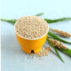 Buy Grains Online Borivali Baniya Jowar