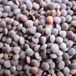 Buy Pulses Online Borivali Baniya Masoor