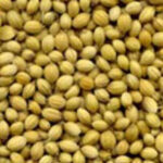 Buy Spices Online Borivali Baniya Dhana