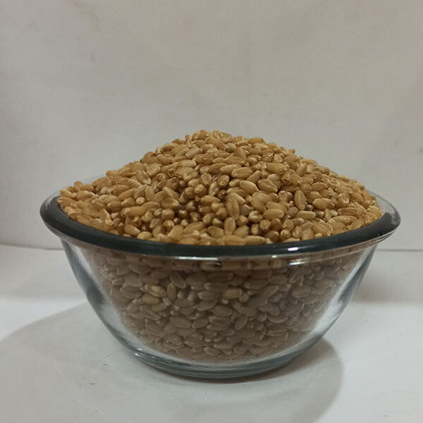 Buy Wheat Online Borivali Baniya MP Sharbati